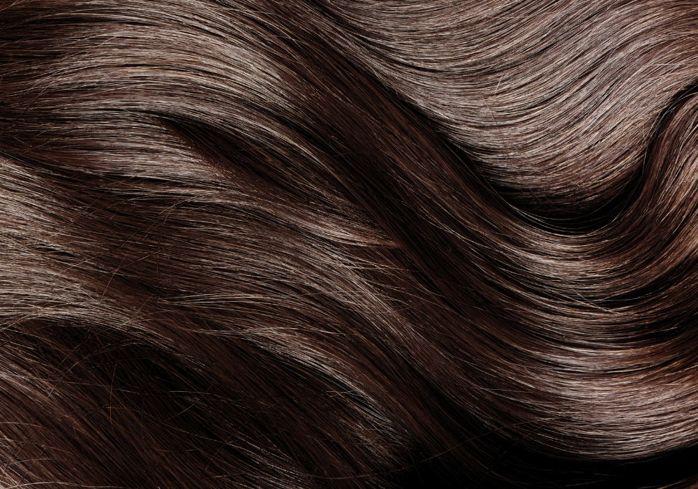 Projects (1).png__PID:2c82e3a8-6dcf-4559-a6fb-914516d3adb4