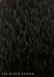 Curly Synthetic Hair Extensions | 9 Piece Clip-In 22"