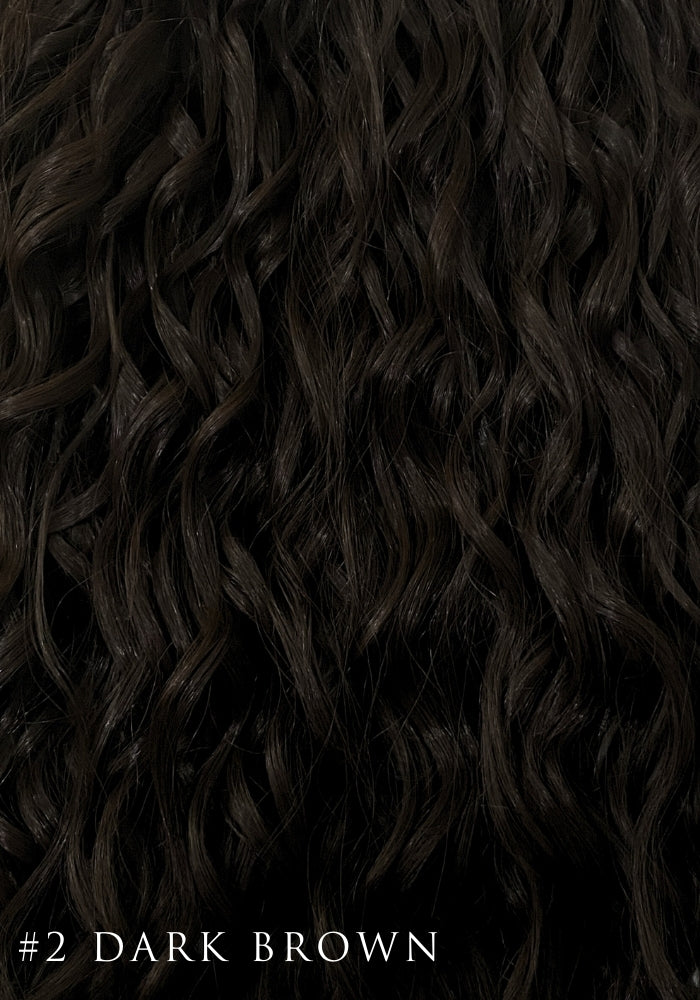 Curly Synthetic Hair Extensions | 9 Piece Clip-In 22"