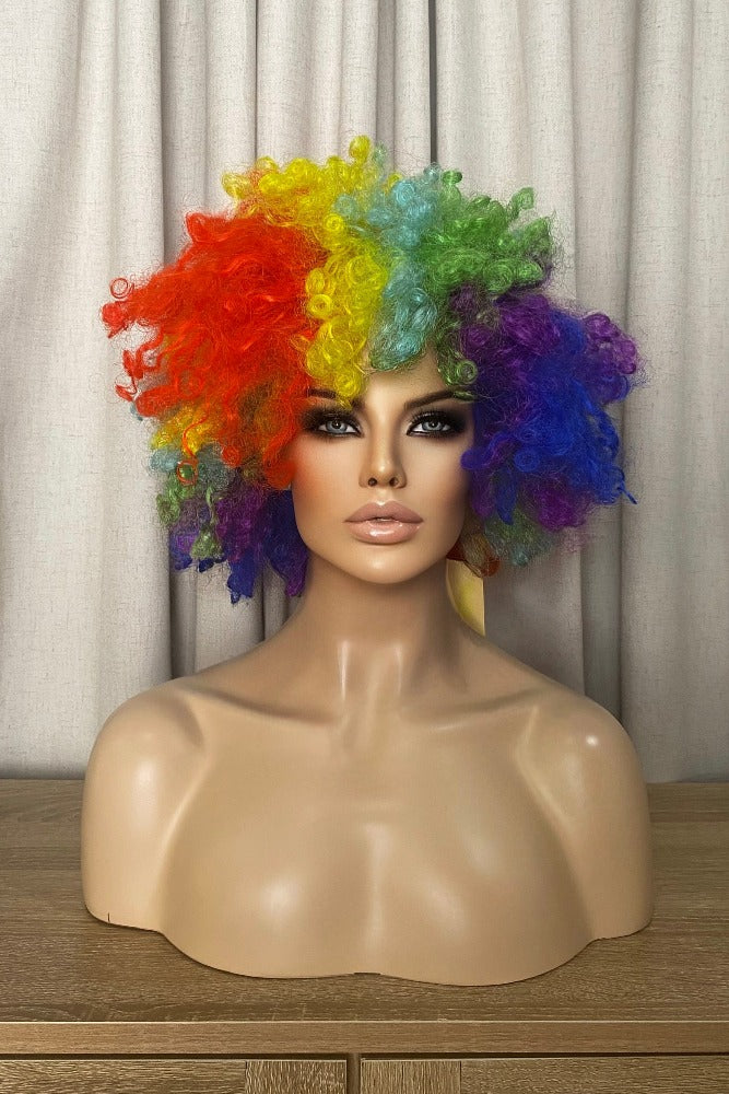 Rainbow Afro Synthetic Wig