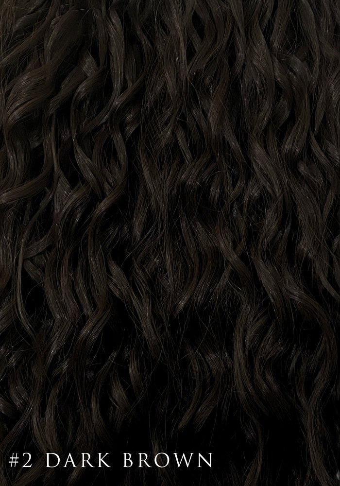 Curly Synthetic Hair Extensions | 9 Piece Clip - In 22" - Santana's Wigs & Hair Extensions, LLC - 2