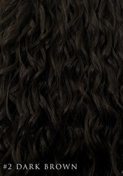 Curly Synthetic Hair Extensions | 9 Piece Clip - In 22" - Santana's Wigs & Hair Extensions, LLC - 2