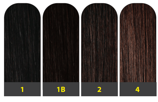 FH - LIV - Santana's Wigs & Hair Extensions, LLC - 1